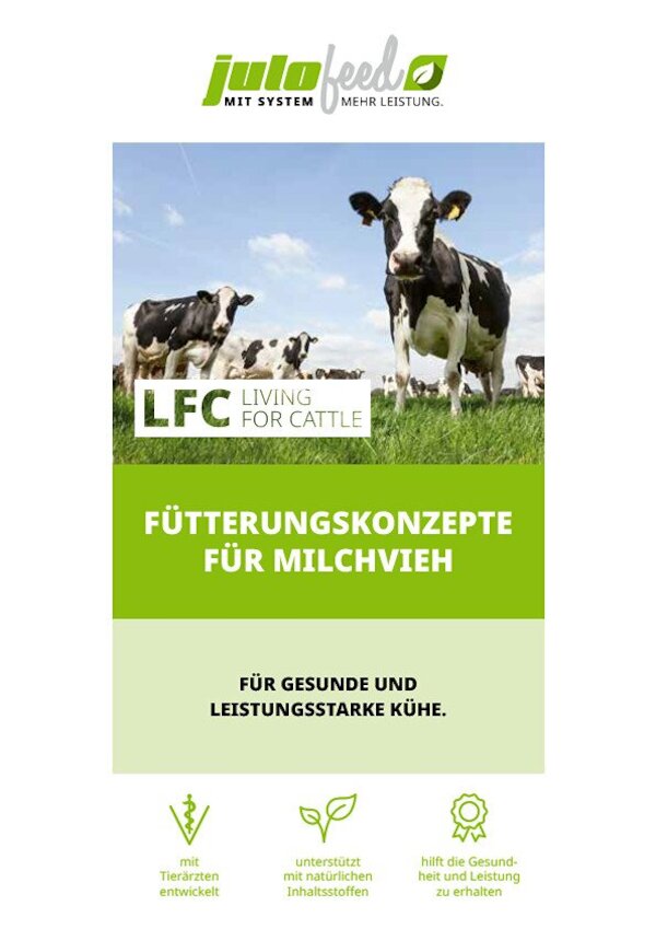 LFC Feeding Concepts