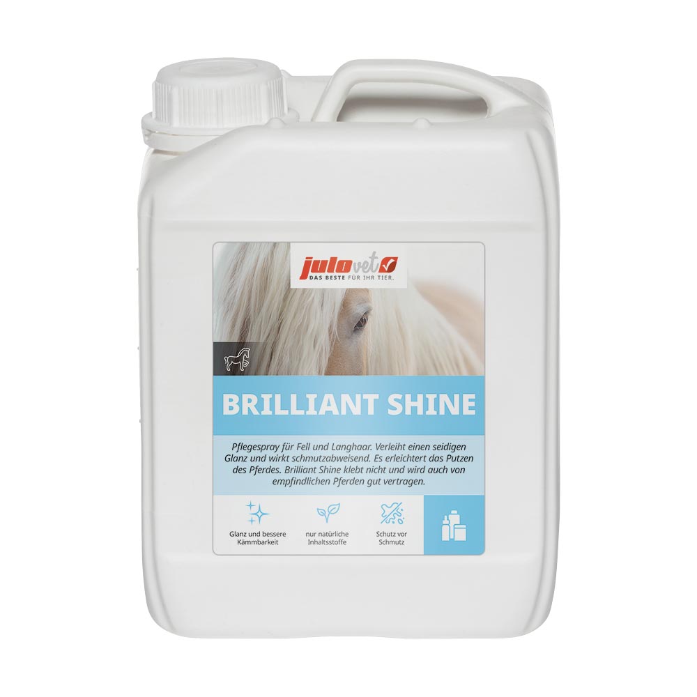 Brilliant Shine Image 2