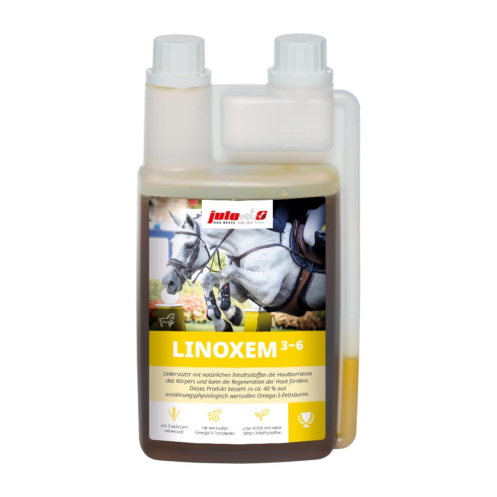 LinoXem3-6 Image 1