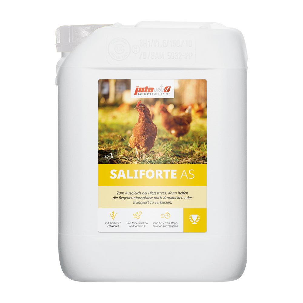 Saliforte AS Image 1