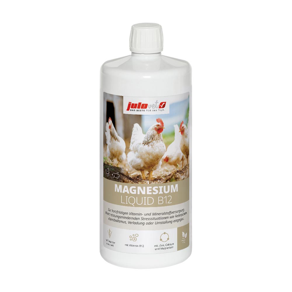 Magnesium Liquid B12 Image 1