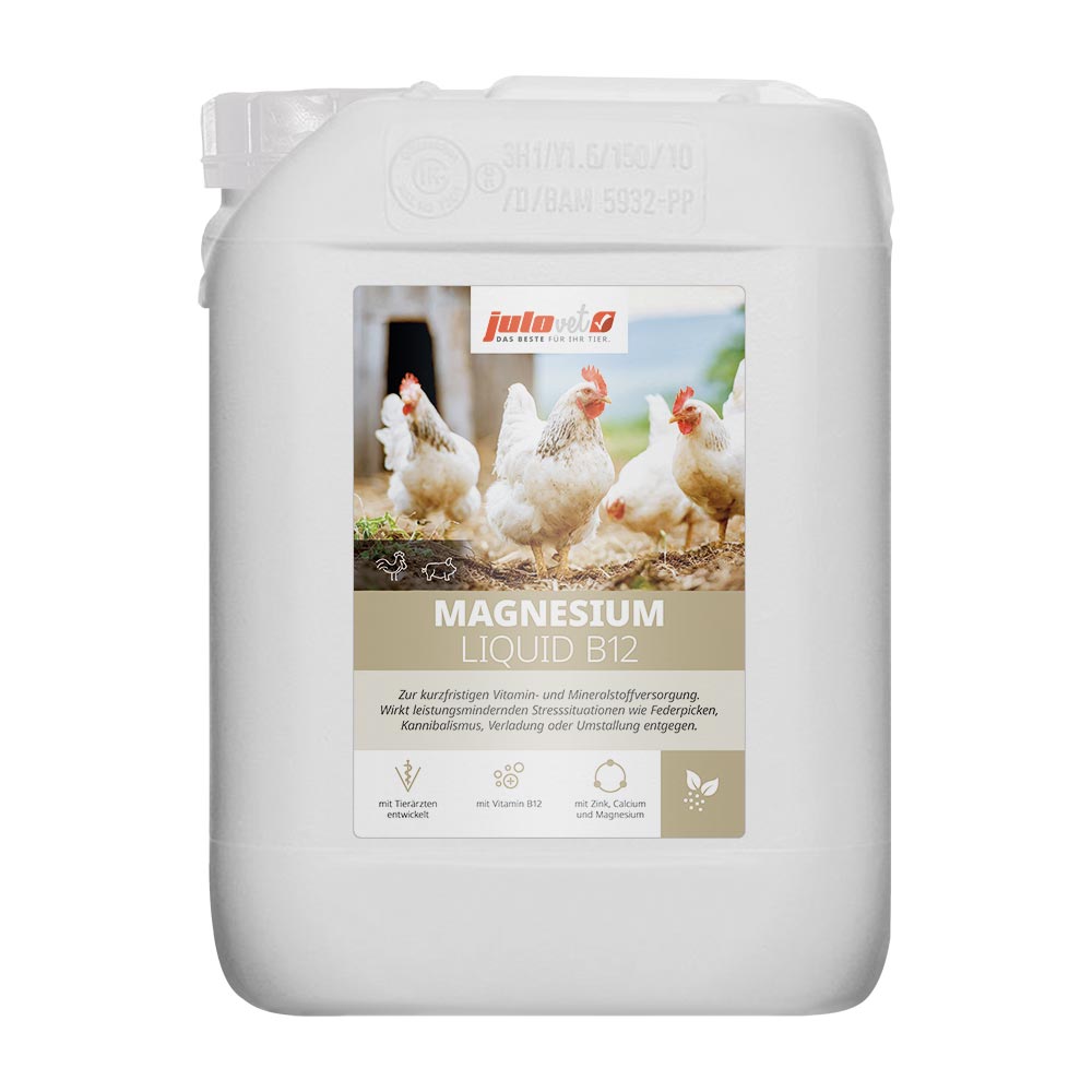 Magnesium Liquid B12 Image 2