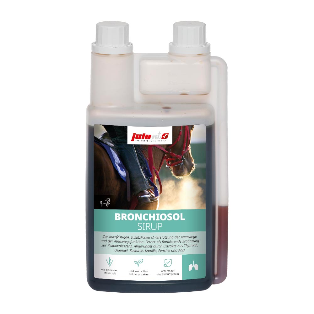 Bronchiosol Sirup Image 1