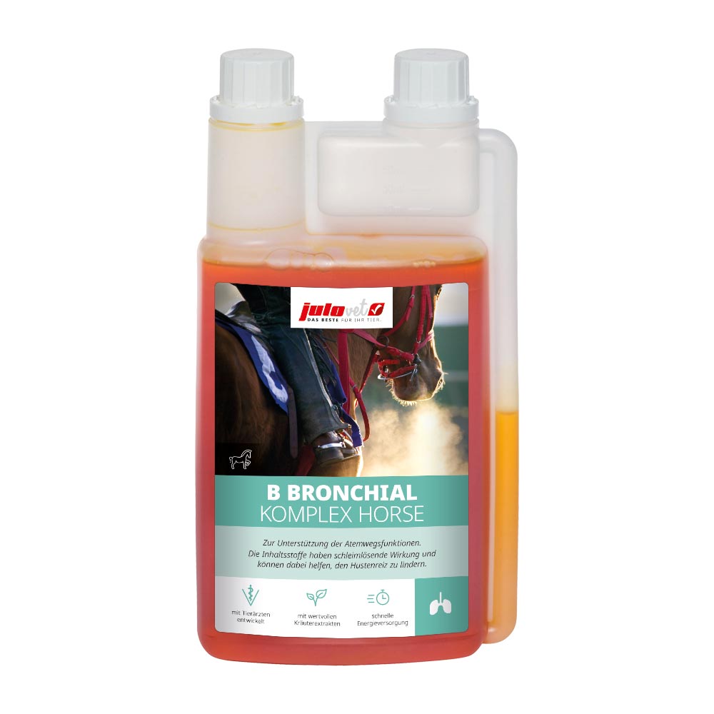 B Bronchial Komplex Horse Image 1