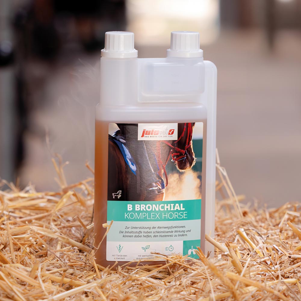 B Bronchial Komplex Horse Image 2