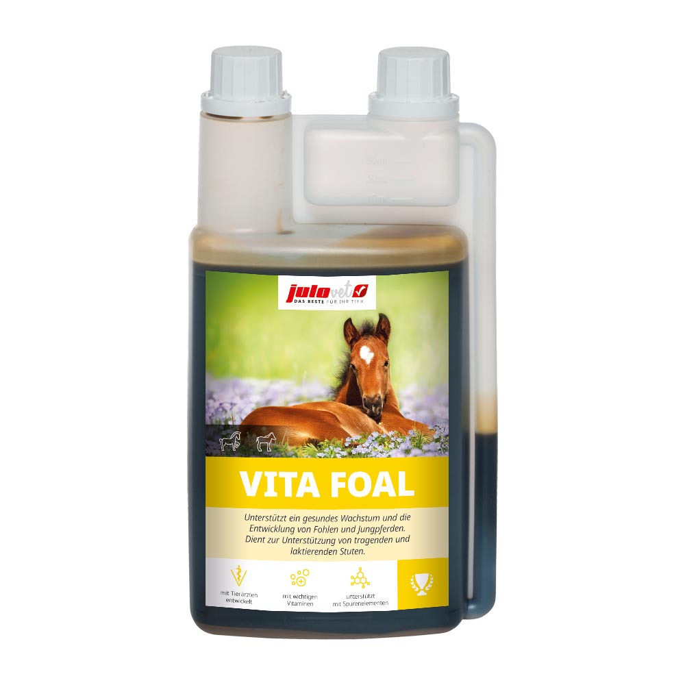 Vita Foal Image 1