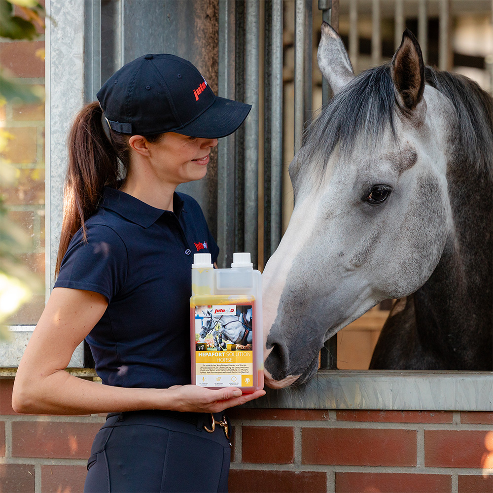 Hepafort Solution Horse Image 2
