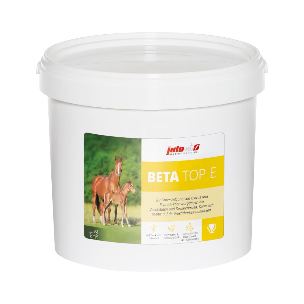 Beta Top E Image 2
