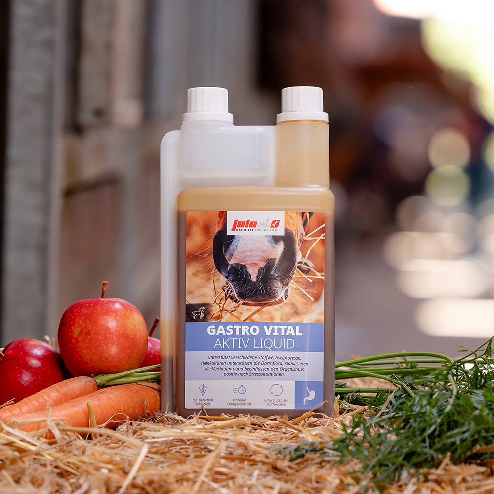 Gastro Vital Aktiv Liquid Image 3