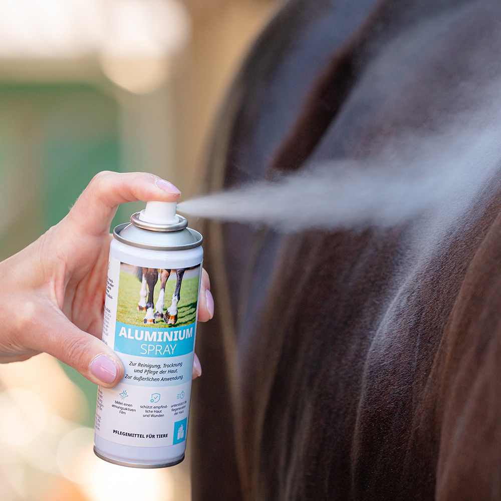 Aluminium Spray Image 3