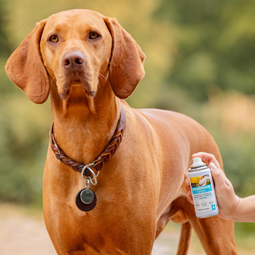 Aluminium Spray Image 4