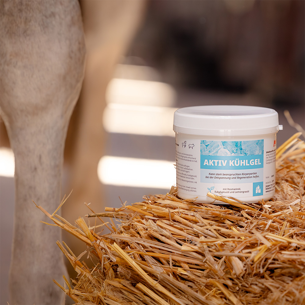 Aktiv Kühlgel Image 3