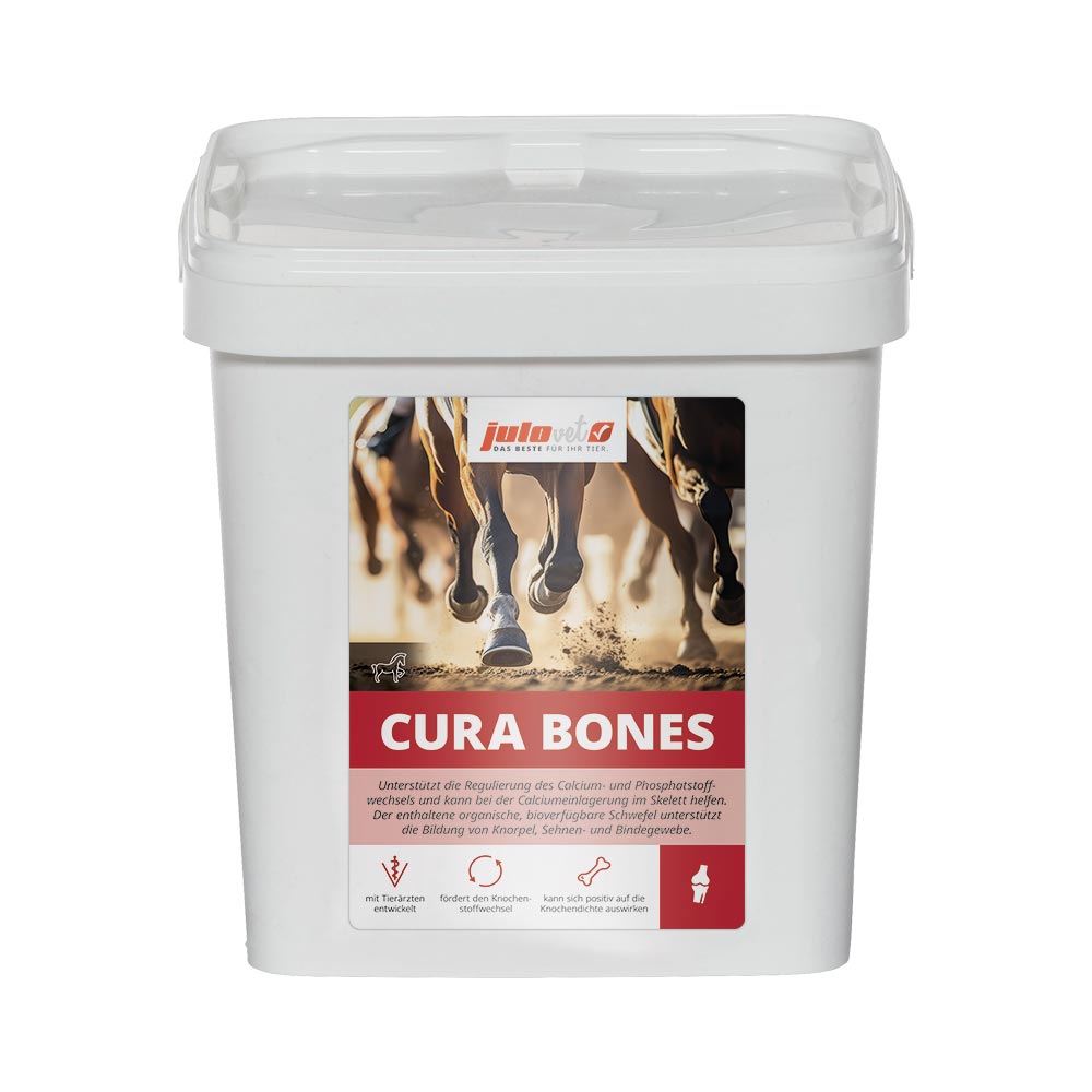 Cura Bones Image 1