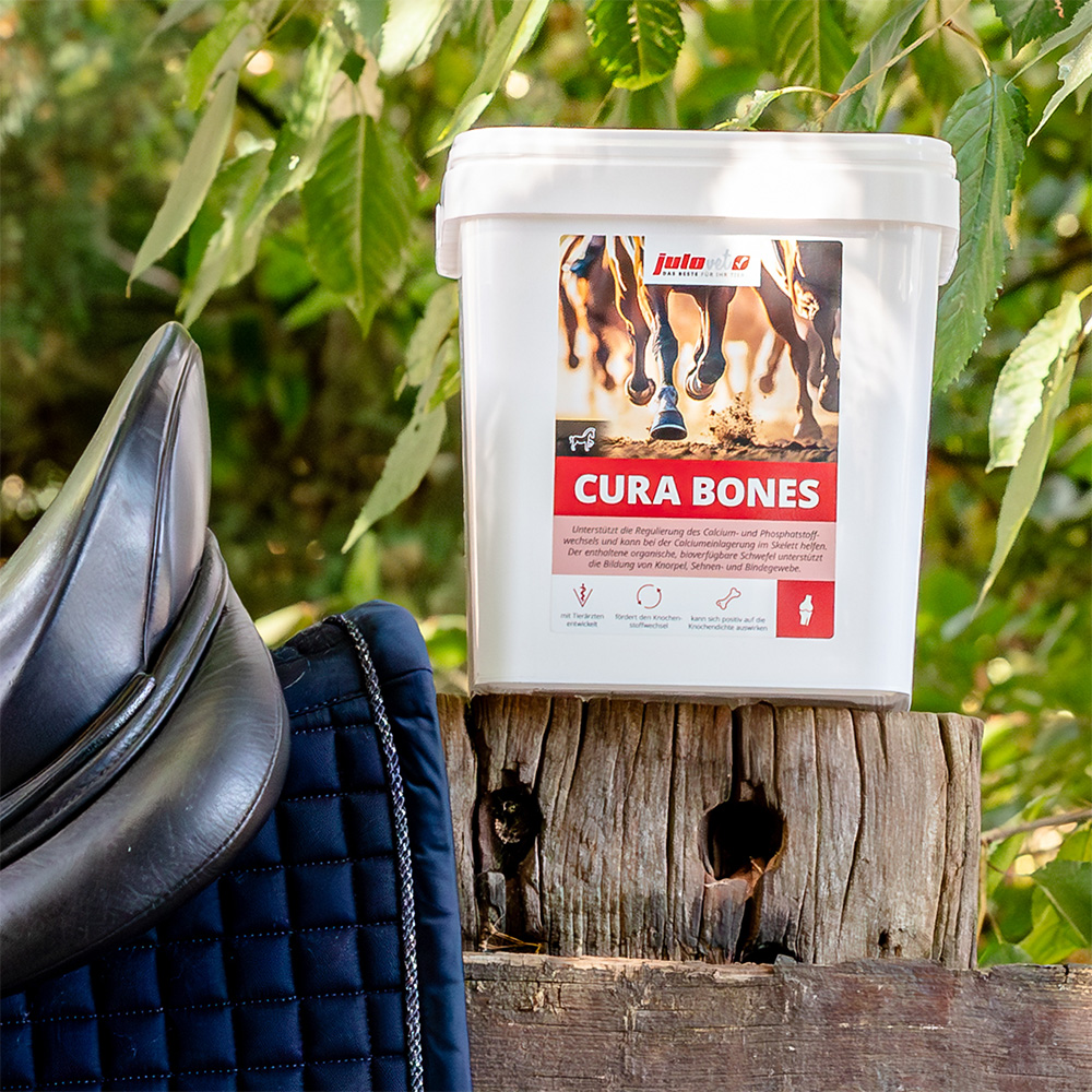 Cura Bones Image 3
