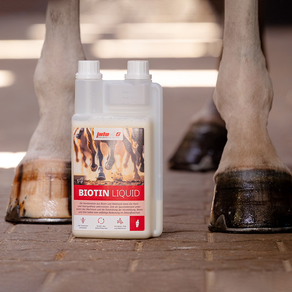Biotin Liquid Image 2