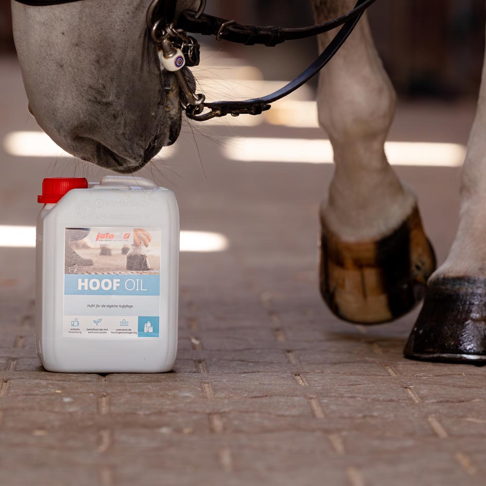 Hoof Oil Image 2