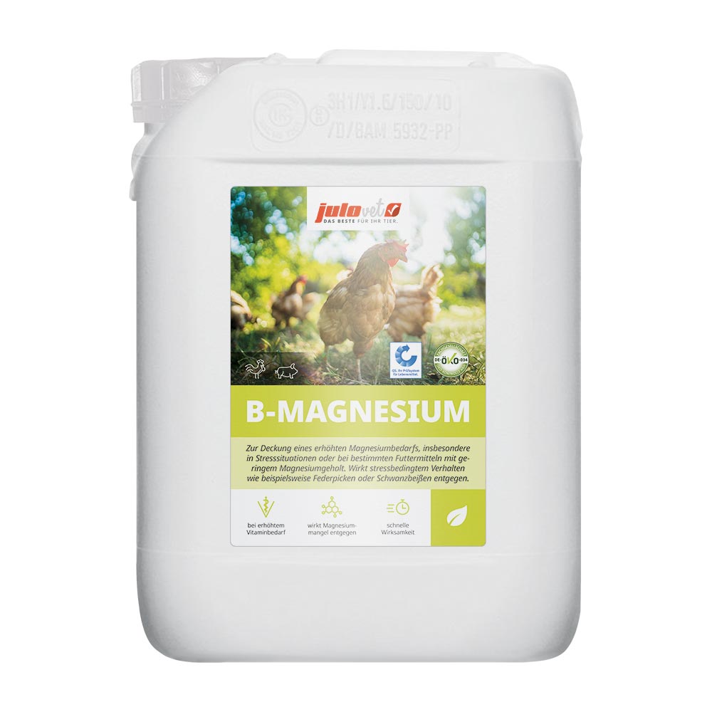 B-Magnesium Image 2