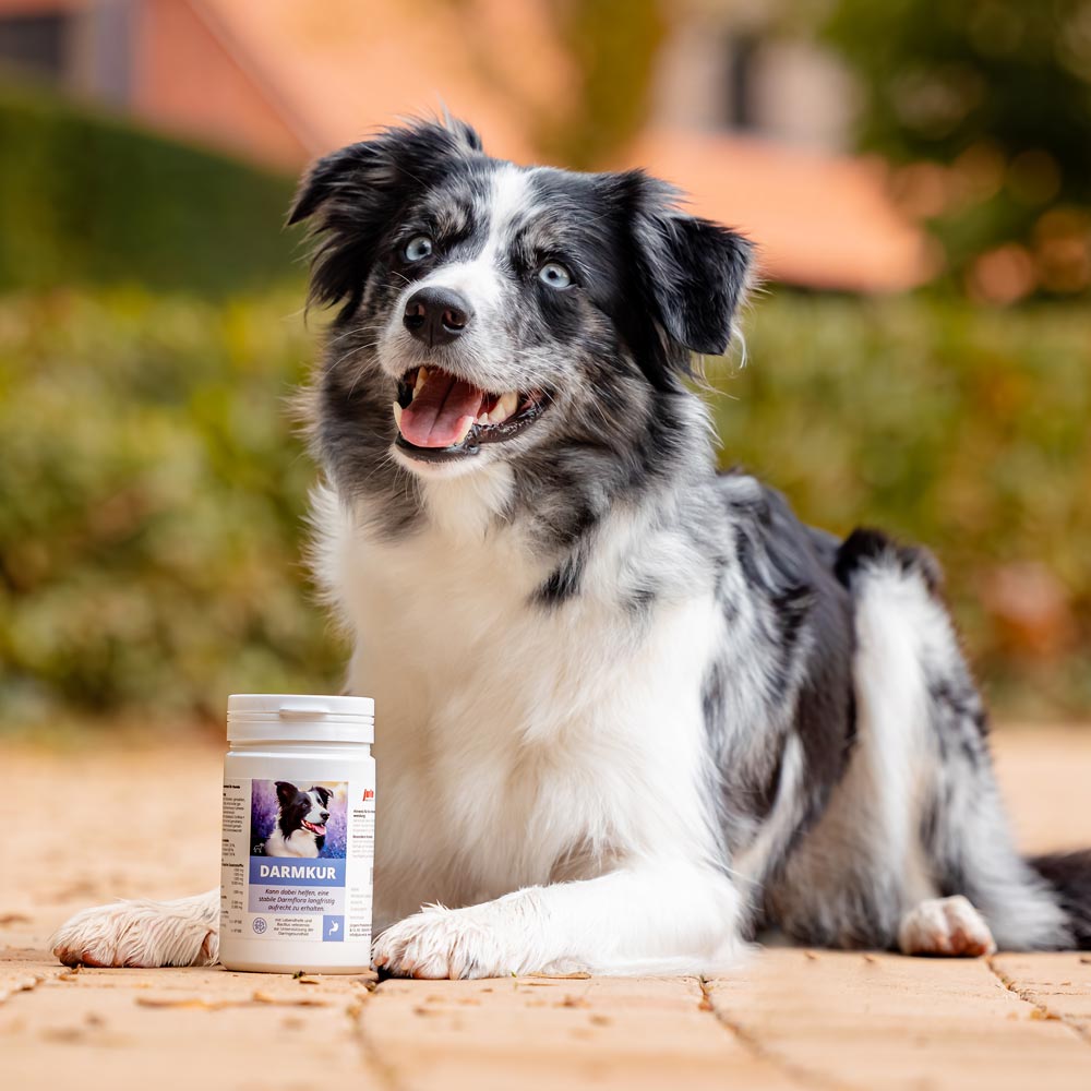 Darmkur Image 2