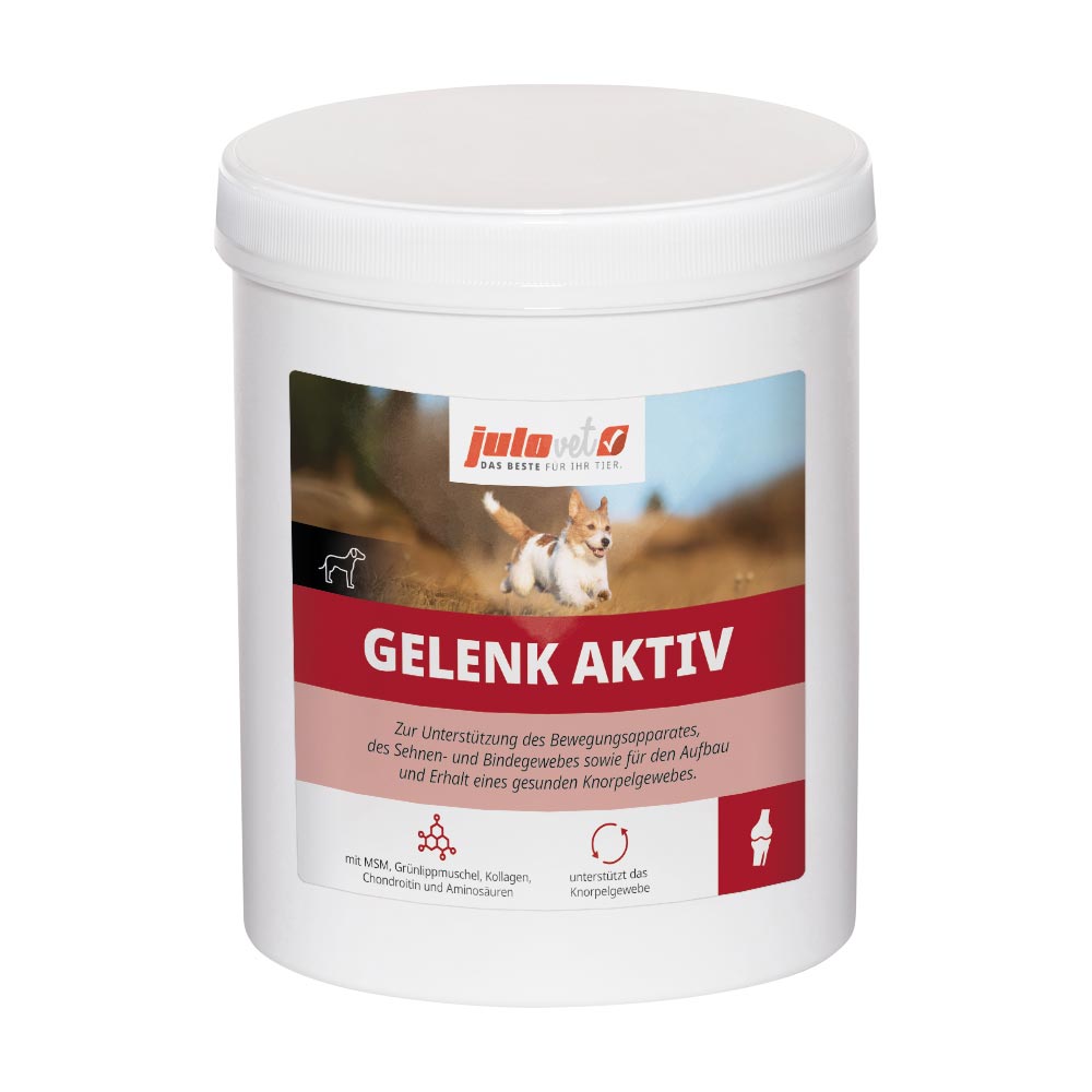 Gelenk Aktiv Image 2