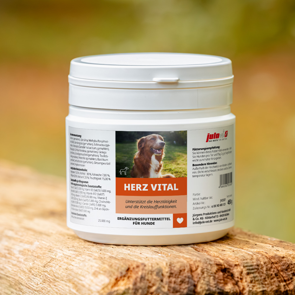 Herz Vital Image 2