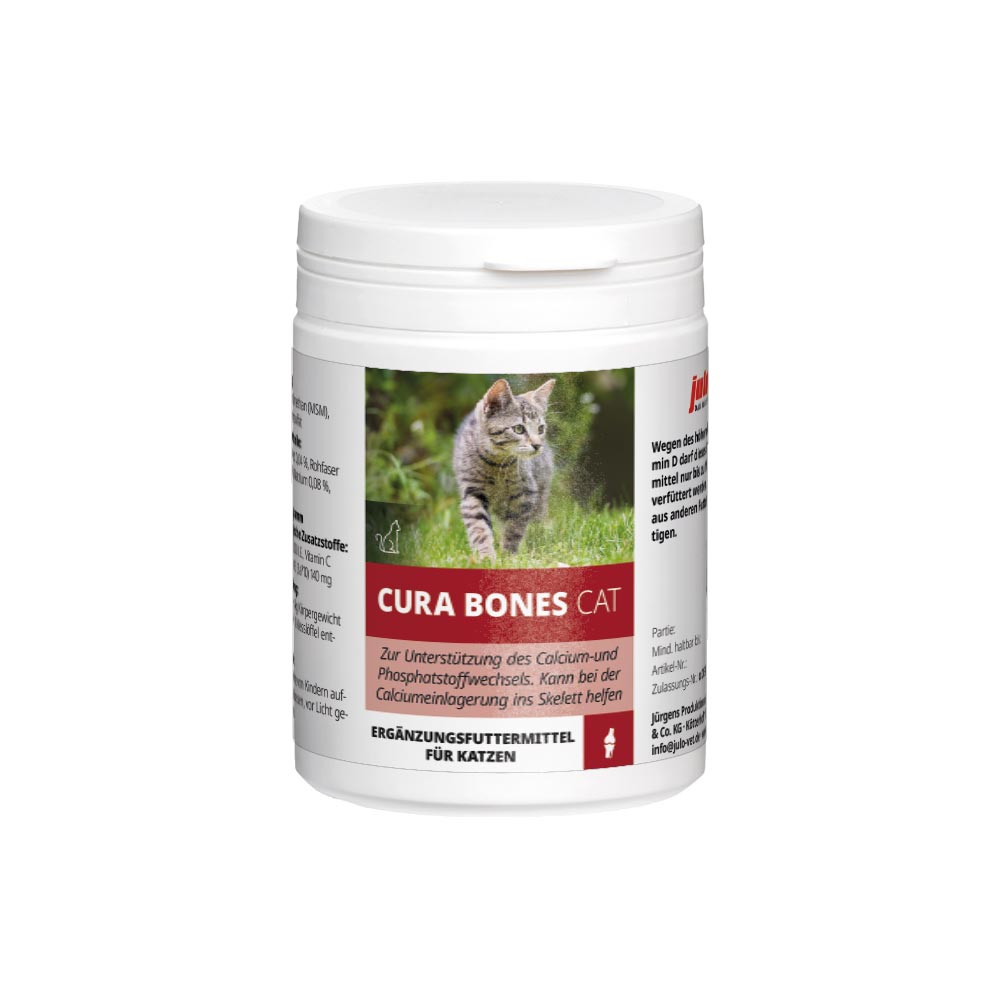 Cura Bones Cat Image 1