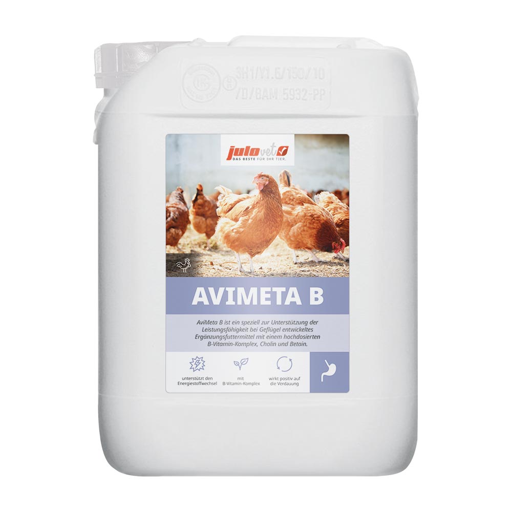 AviMeta B Image 1